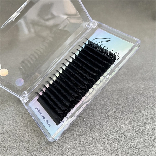 Lash Extension