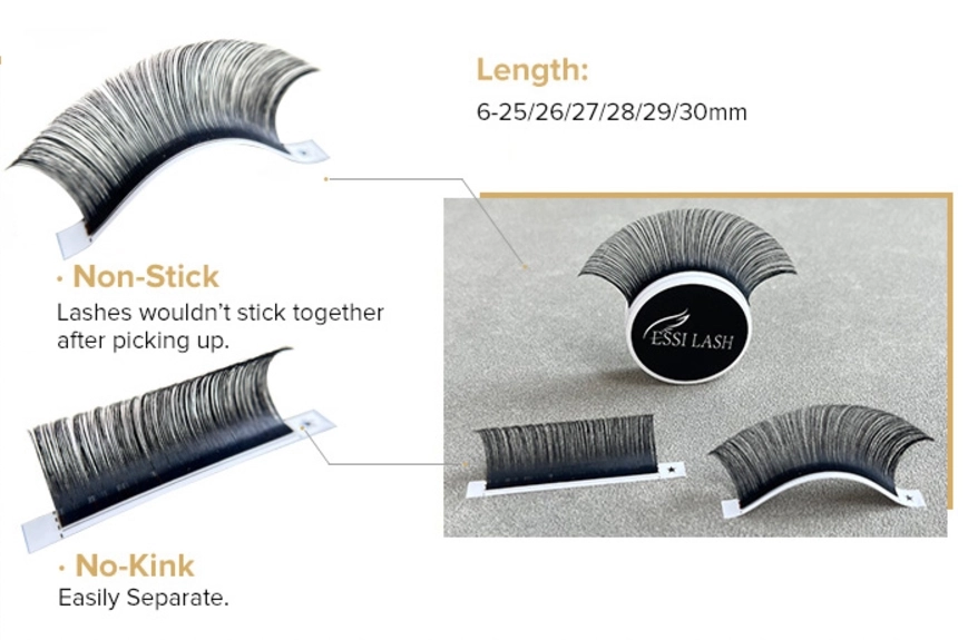 Lash Extension