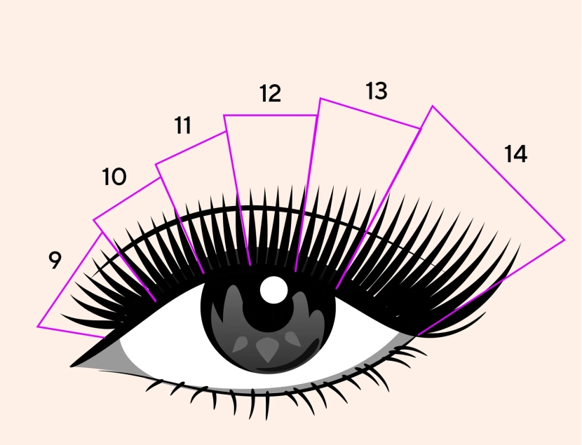 Cat Eye vs. Doll Lash Extensions