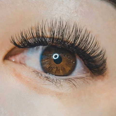 Doll Eye Lash extension supplier in China