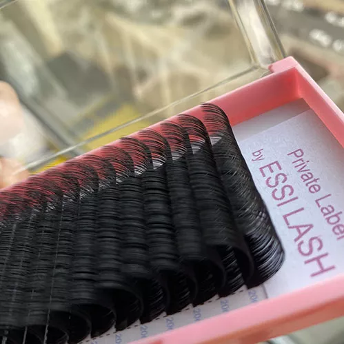 20210127-155600 20210127-155600