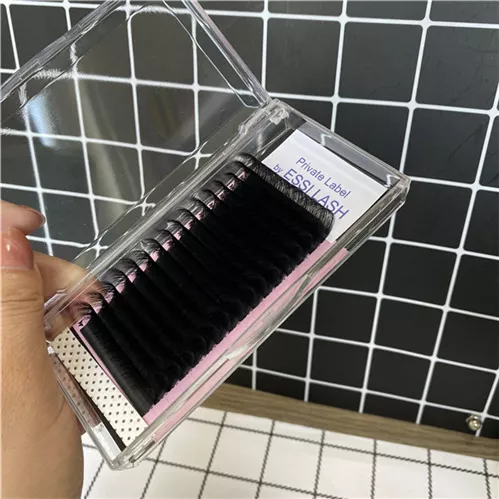 20210603-021679 20210603-021679