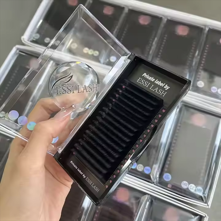 All About the Eyelash Extension Trays You Need to Know as a Beginner Lash Tech