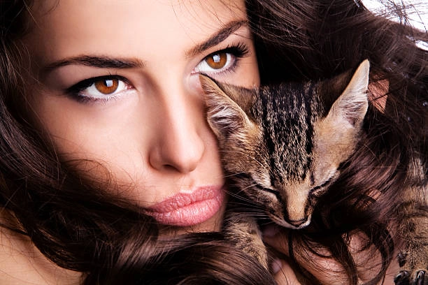 The Art of Kitten Lashes Designing a Gentle Cat Eye Effect